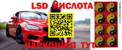 амф Кунгур