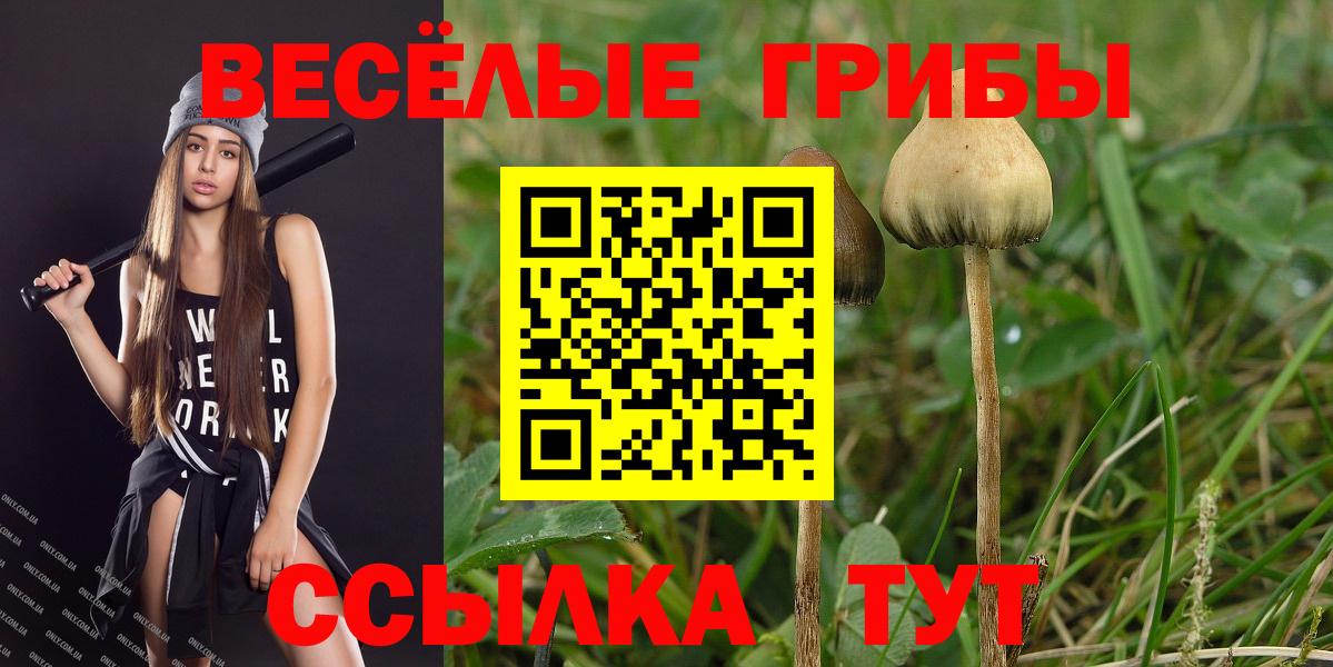 Учалы  купить наркоту  Вход с VPN  Псилоцибиновые грибы GOLDEN TEACHER 